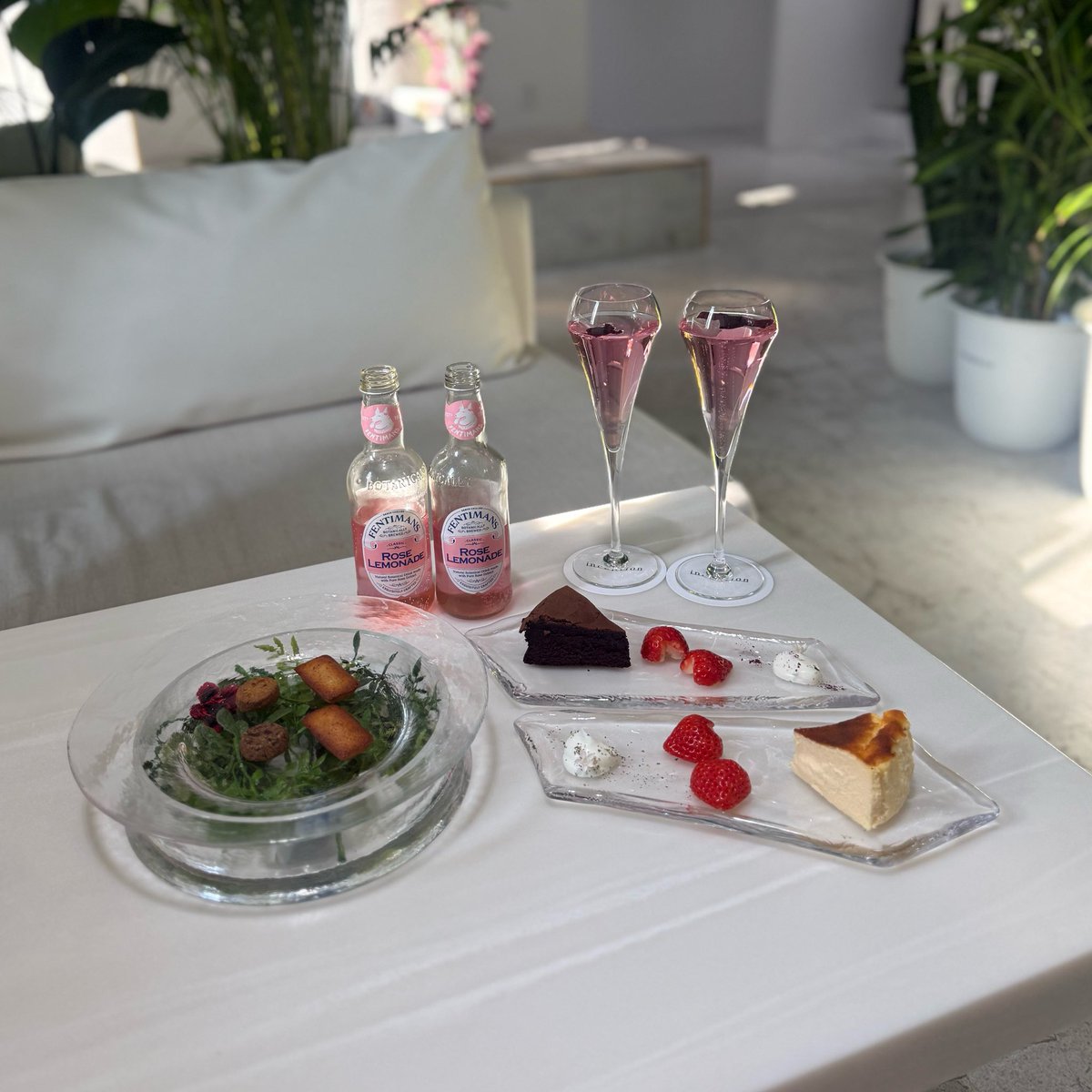 しのにゃんぱす👾 tweet media