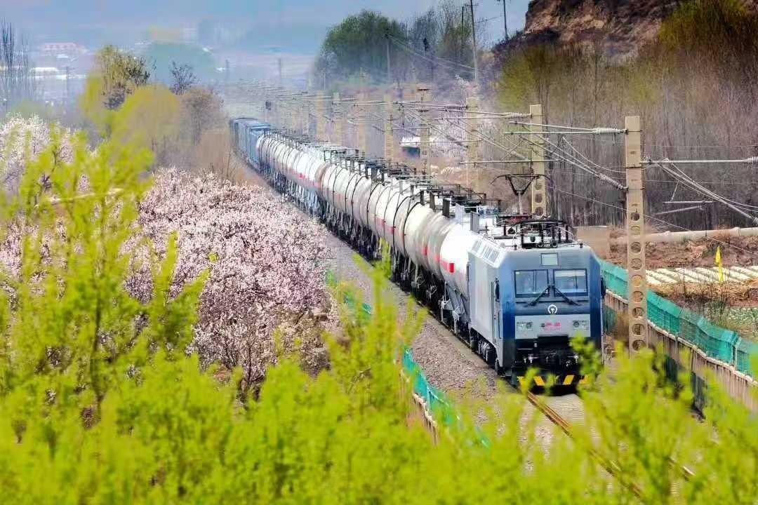 CNLushanTrain's tweet image. 🌸🌸🌸The wind blows spring into the railway, and the flowers bloom like they've knocked over a color palette. The train departs from the sea of flowers, carrying a carriage full of warmth and anticipation, heading towards every blooming of flowers.
#ChinaLushanTrain #train