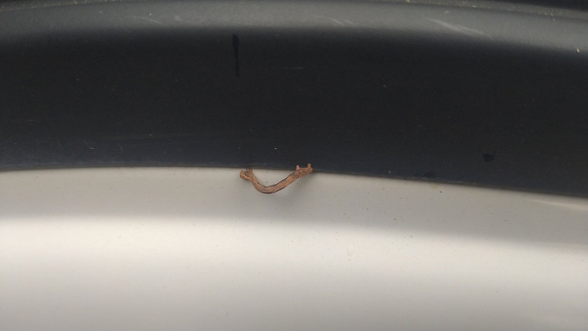 岩崎目立YouTube管理人T（非公認非公式） tweet media