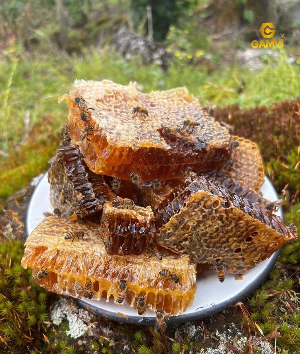 Think & Guess tweet media