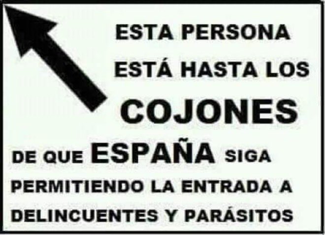 Ana 🇪🇸💚 tweet media