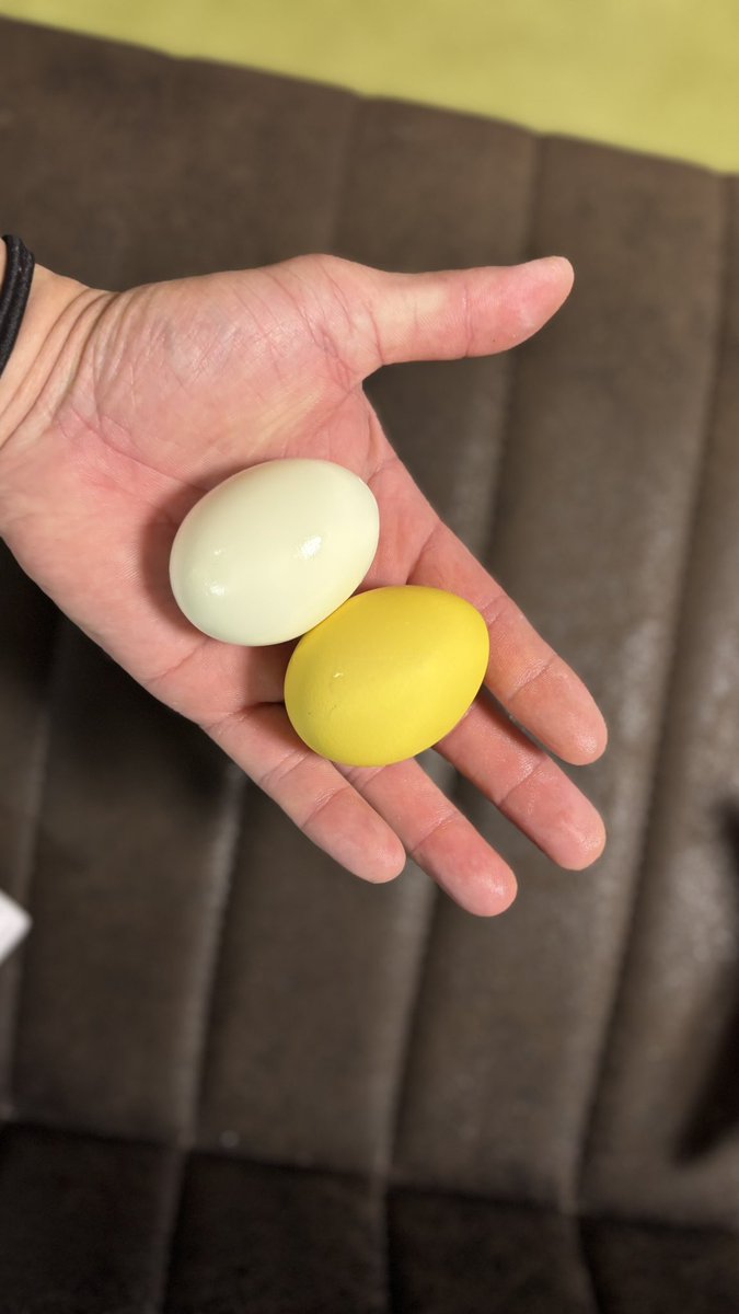 WARAFUJI🦫🎤🎸🥁🐉🎶 tweet media