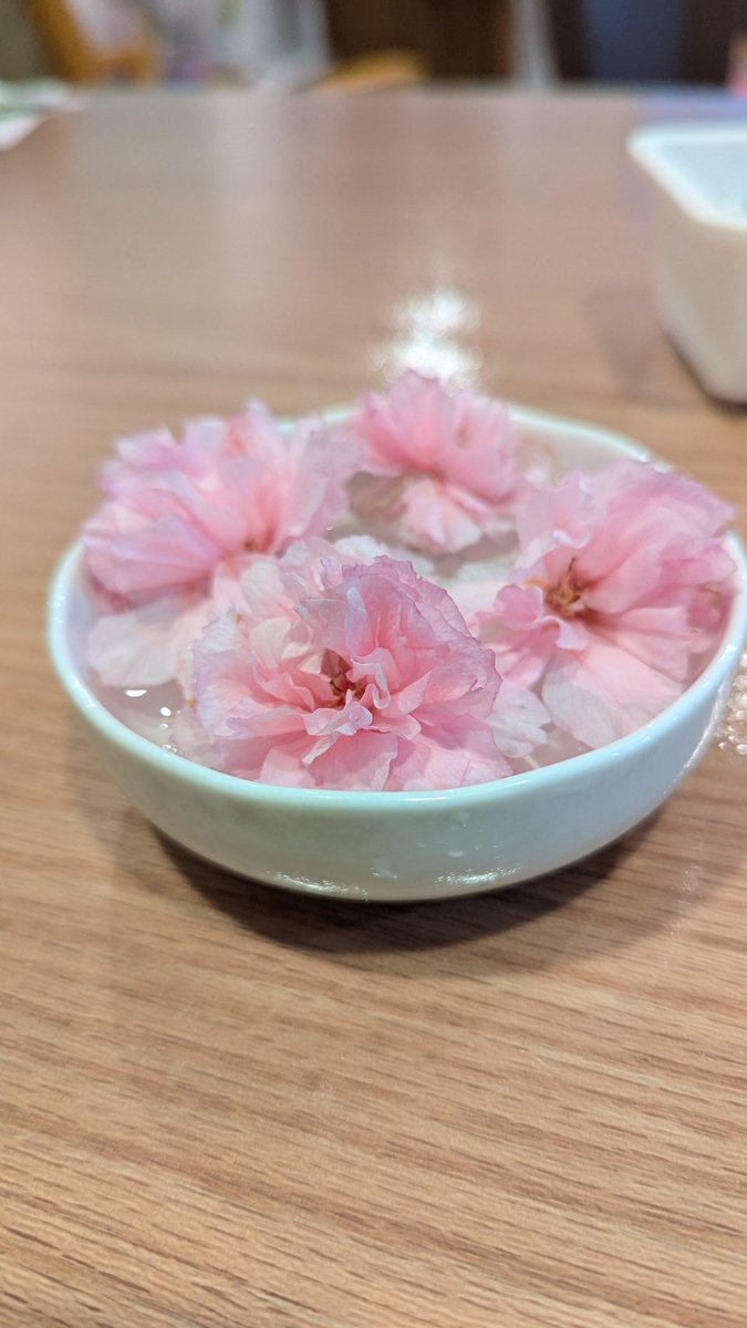 ヒヨドリの仕業かな？沢山花弁が落ちていました🌸