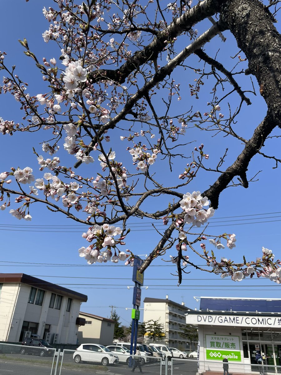 麺 晴天 tweet media