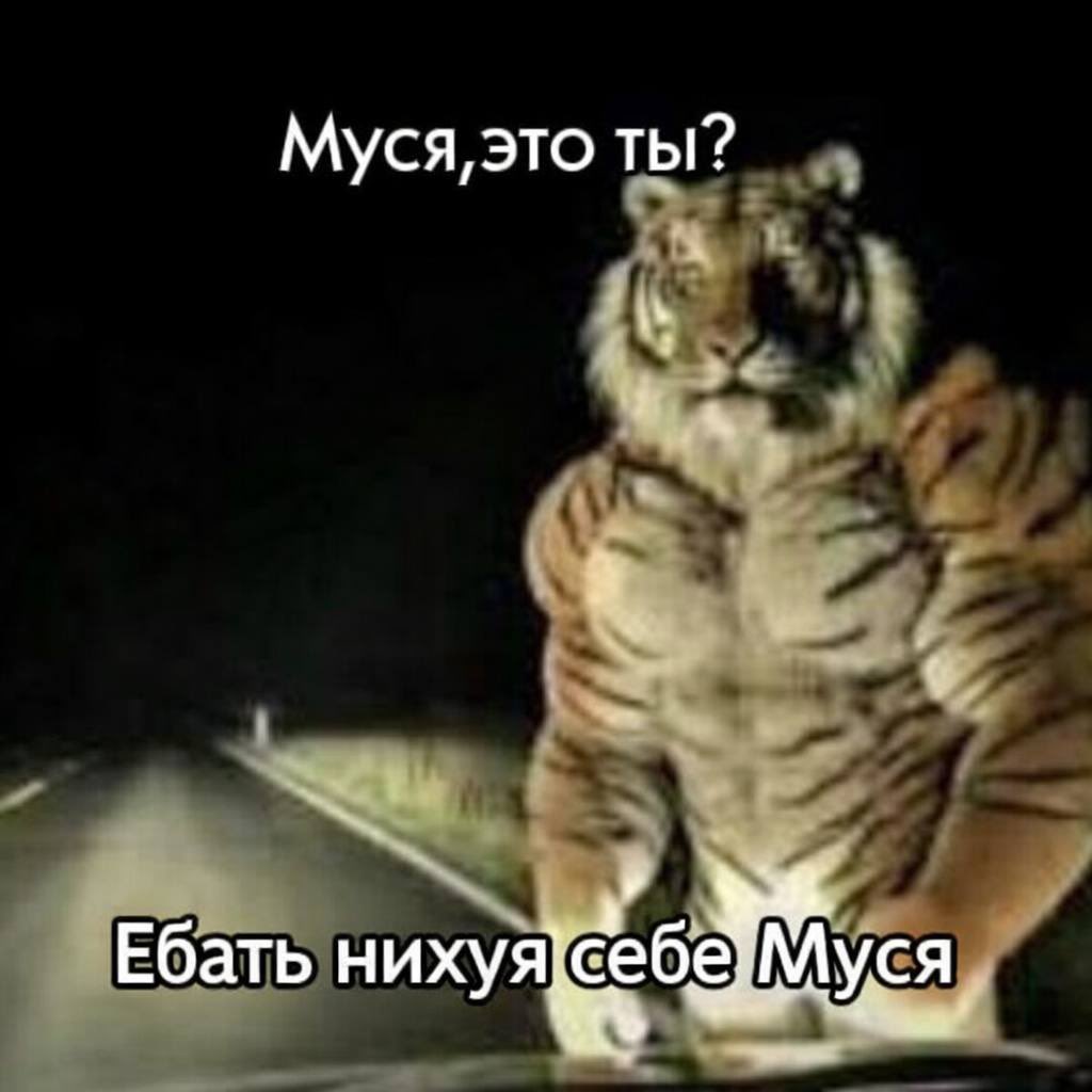 Ррррррр tweet media