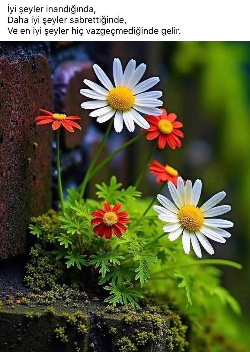 Günaydın mutlu güzel sabahlar ☕️🌺🤗🎶🎶🎶🎶