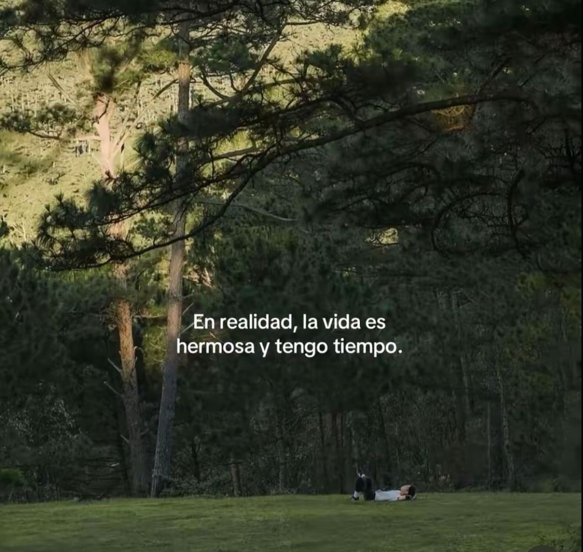 bauldefrases (@suspirxsalaire) on Twitter photo 