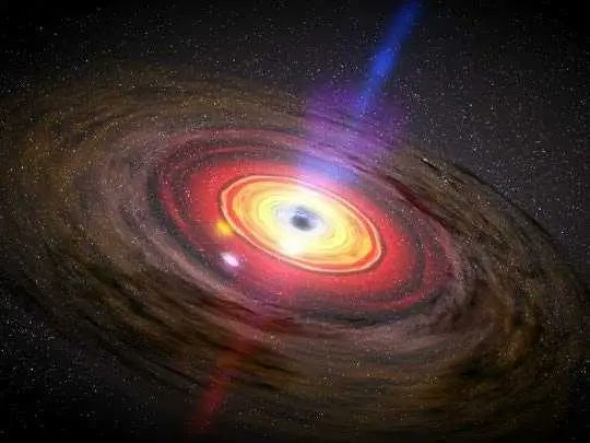 The Page Z tweet media