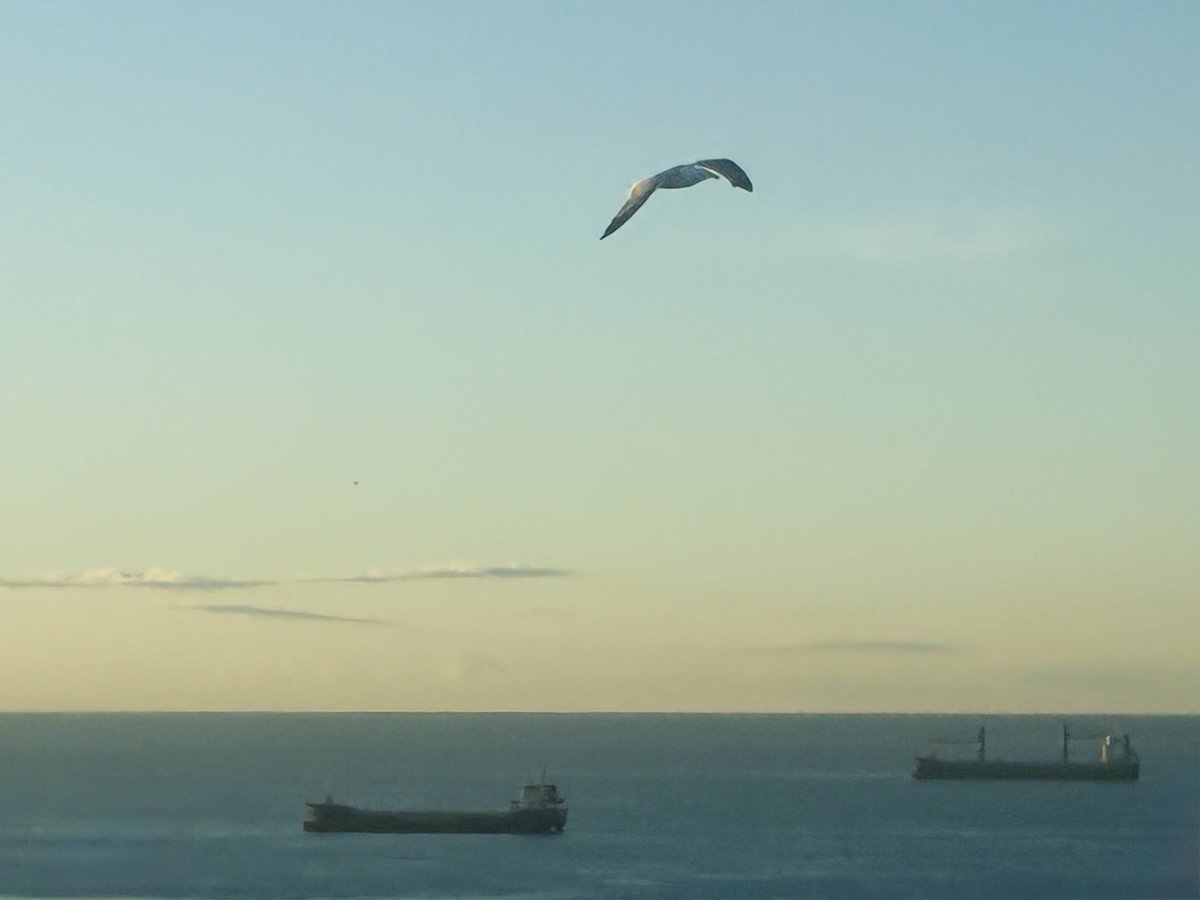 Maurici Preciado tweet media