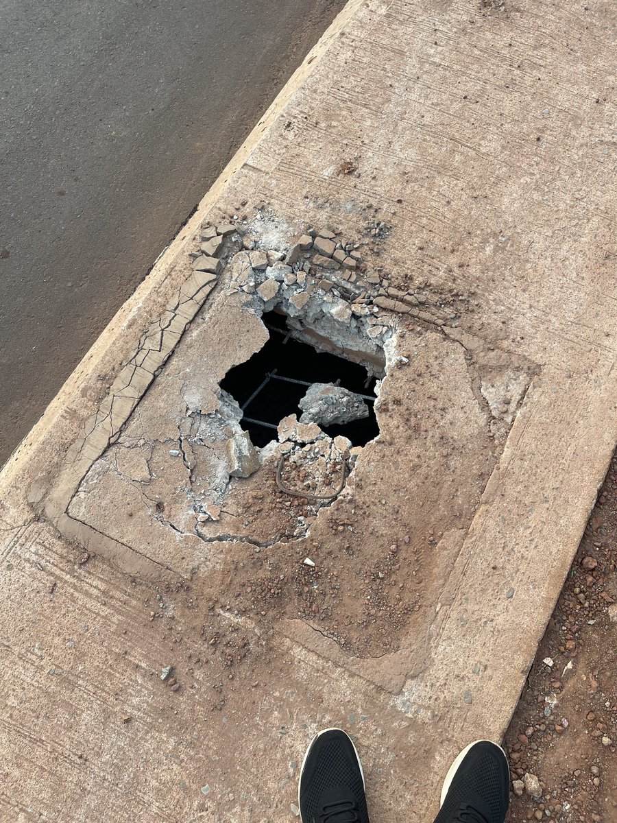 Kelvin Novo tweet media