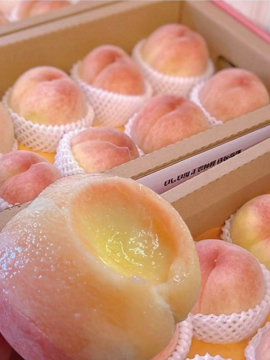 jell（互fo必回💯） tweet media