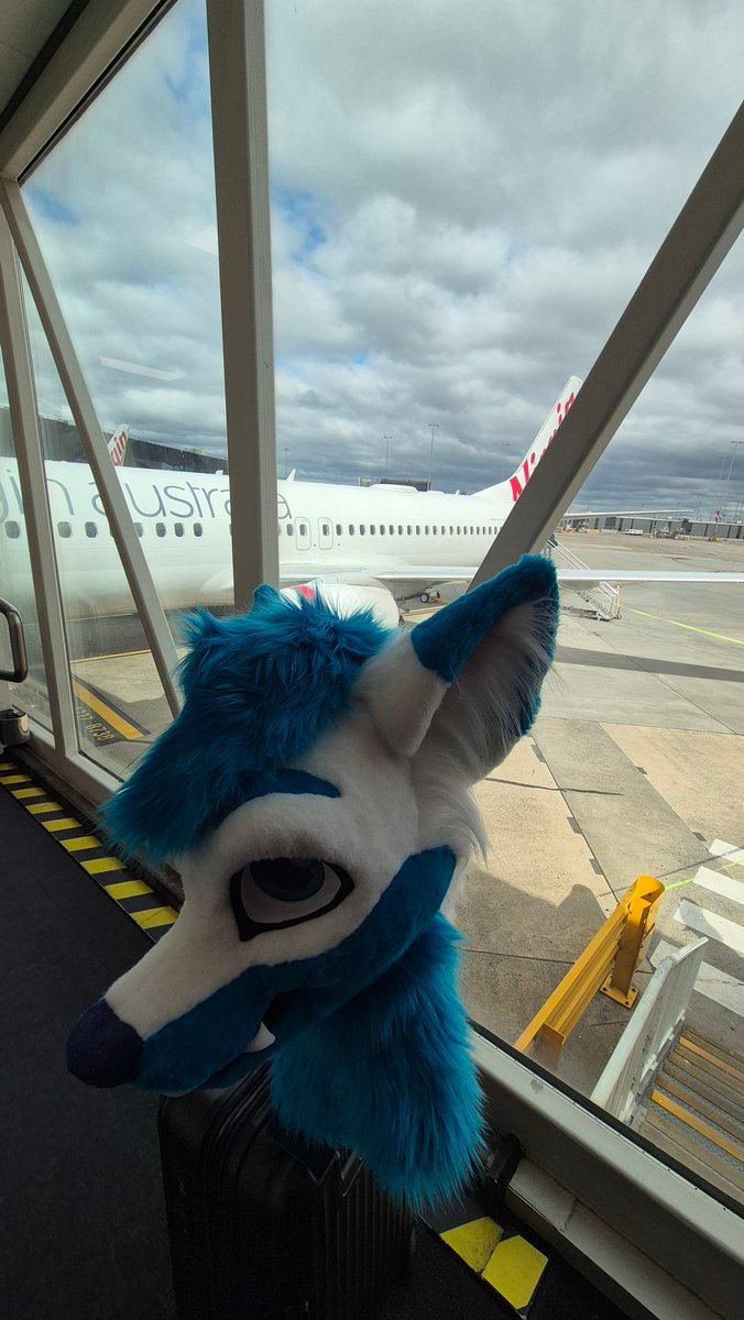 🥯 THEBAGEL124 🥯 - C0MMS Open 🔜 FURDU tweet media