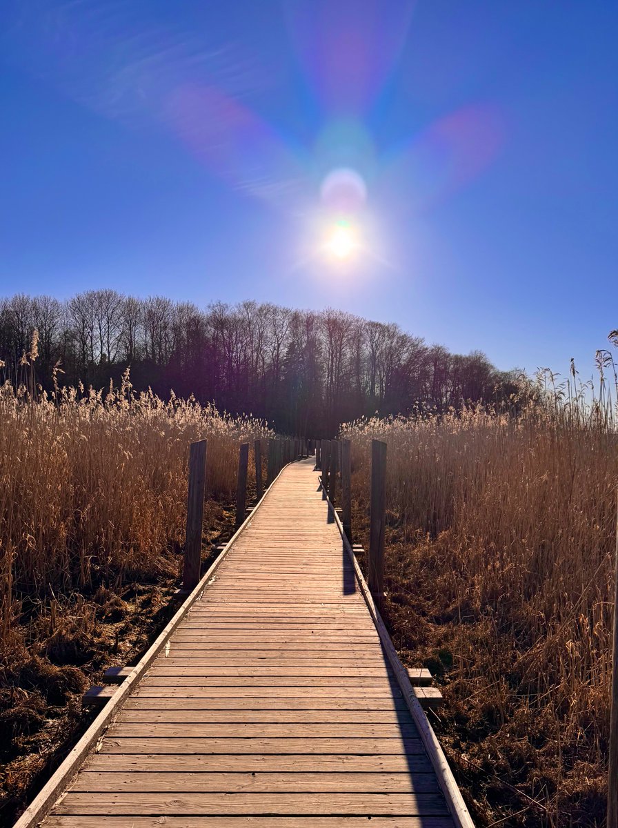 BSapag's tweet image. Huomenta! 

#Finland #SpringVibes