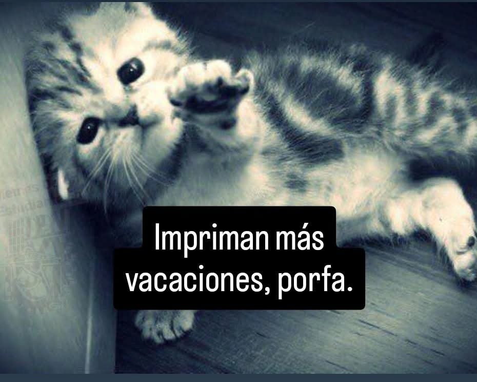 El peor día, con sueño con hambre, con clases, no puedo mas