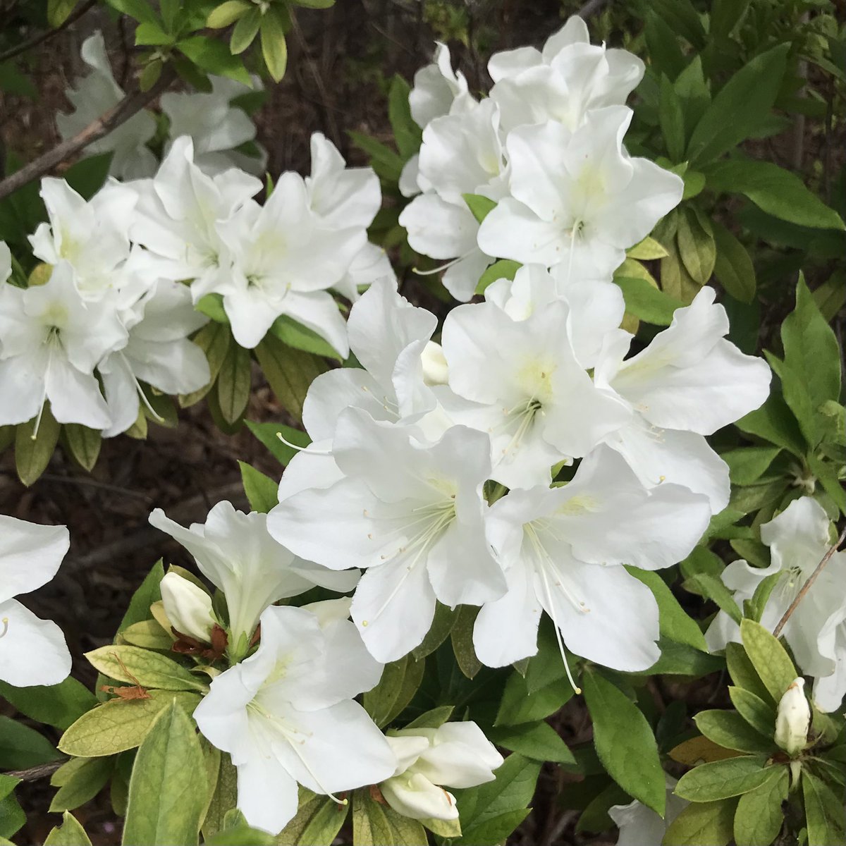 阿佐ヶ谷CORNER tweet media