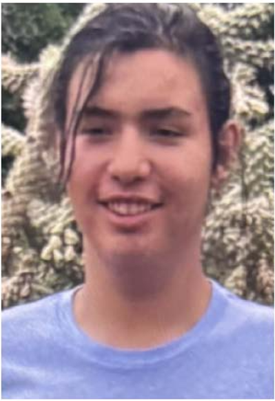 MesaPD's tweet photo. 🚨SAFE ALERT🚨
17yo Desi Zunich was last seen on 04/13/26, 5:30pm near Alma School and Main St wearing a blue shirt, blk shorts, and grey shoes.

Desi is a white male with blk hair, brn eyes, 5'10", and 180lbs. He has been diagnosed with cognitive disorders &amp; is nonverbal https://t.co/D4lgpXRMp1