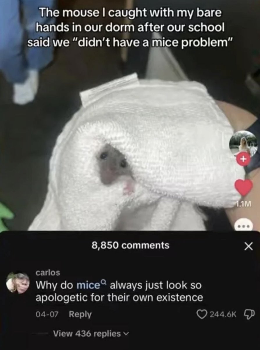 Respectful Memes tweet media