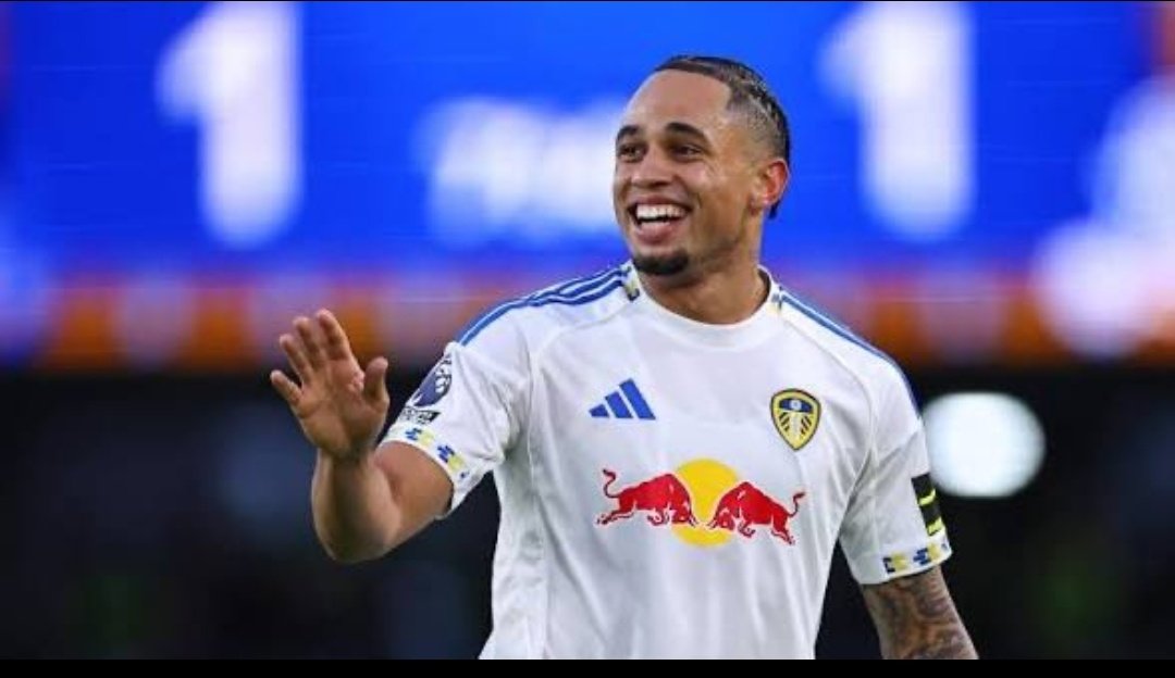 𝙅𝙀𝙁𝙁 𝑪𝑭𝑪 🦁💙 tweet media