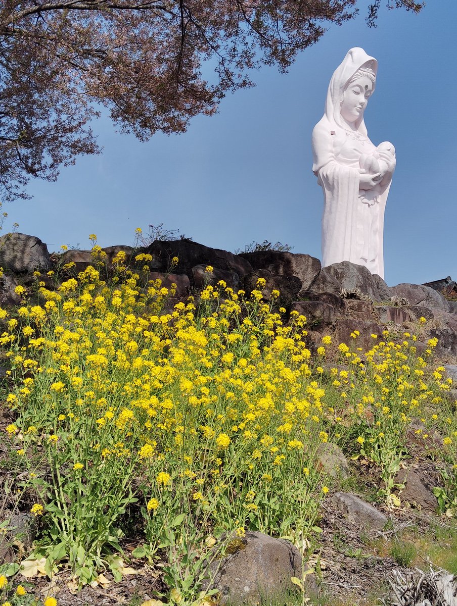 やすらぎの郷　会津村 tweet media