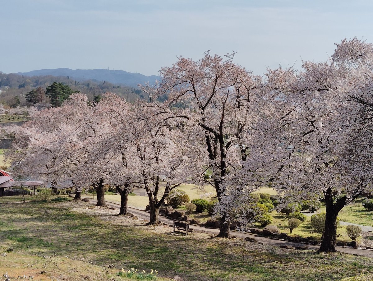 やすらぎの郷　会津村 tweet media