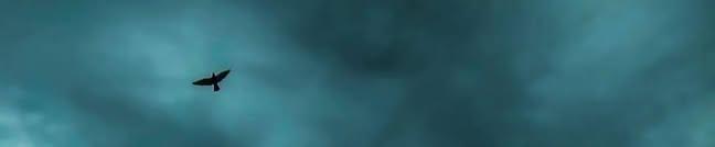 Forlorn Hope tweet media