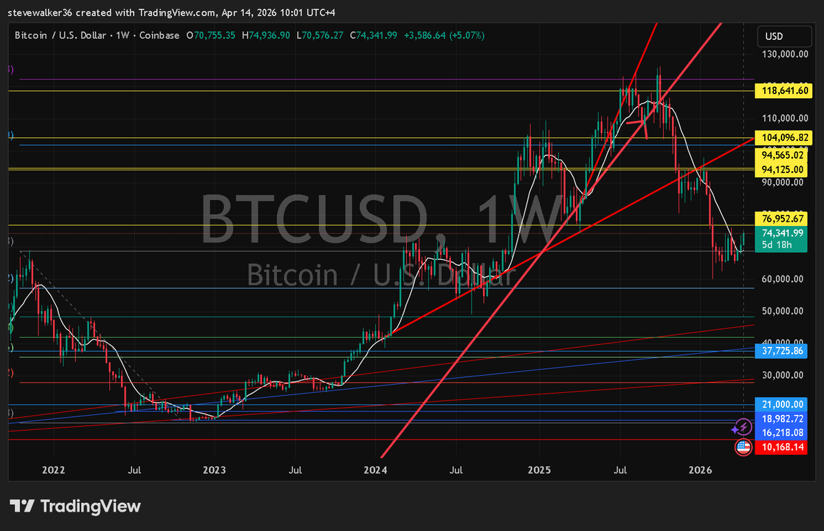 Steve Walker 🌈⏳ tweet media
