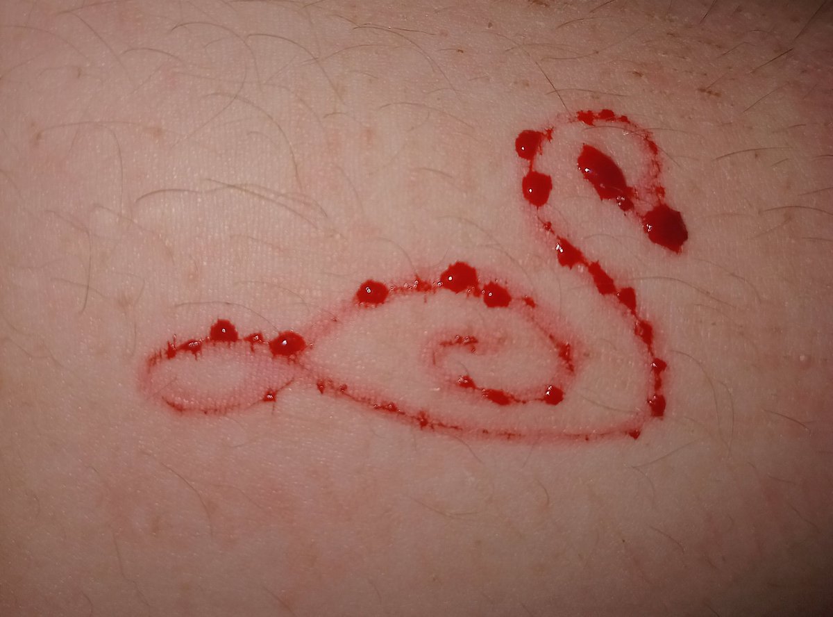 Shadi 🐸🌱💧(Tsuyu of shtwt) tweet media