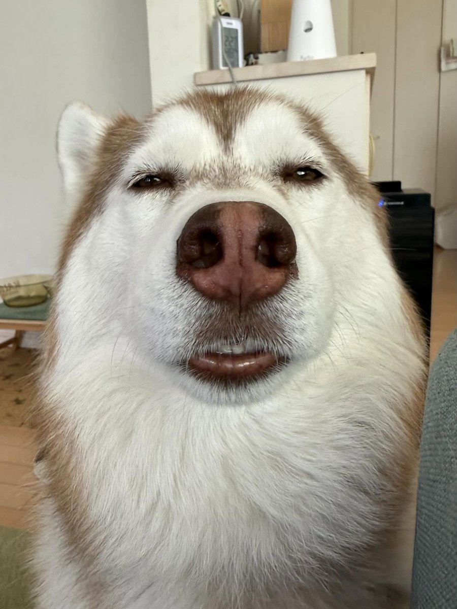 すぅ。 tweet media