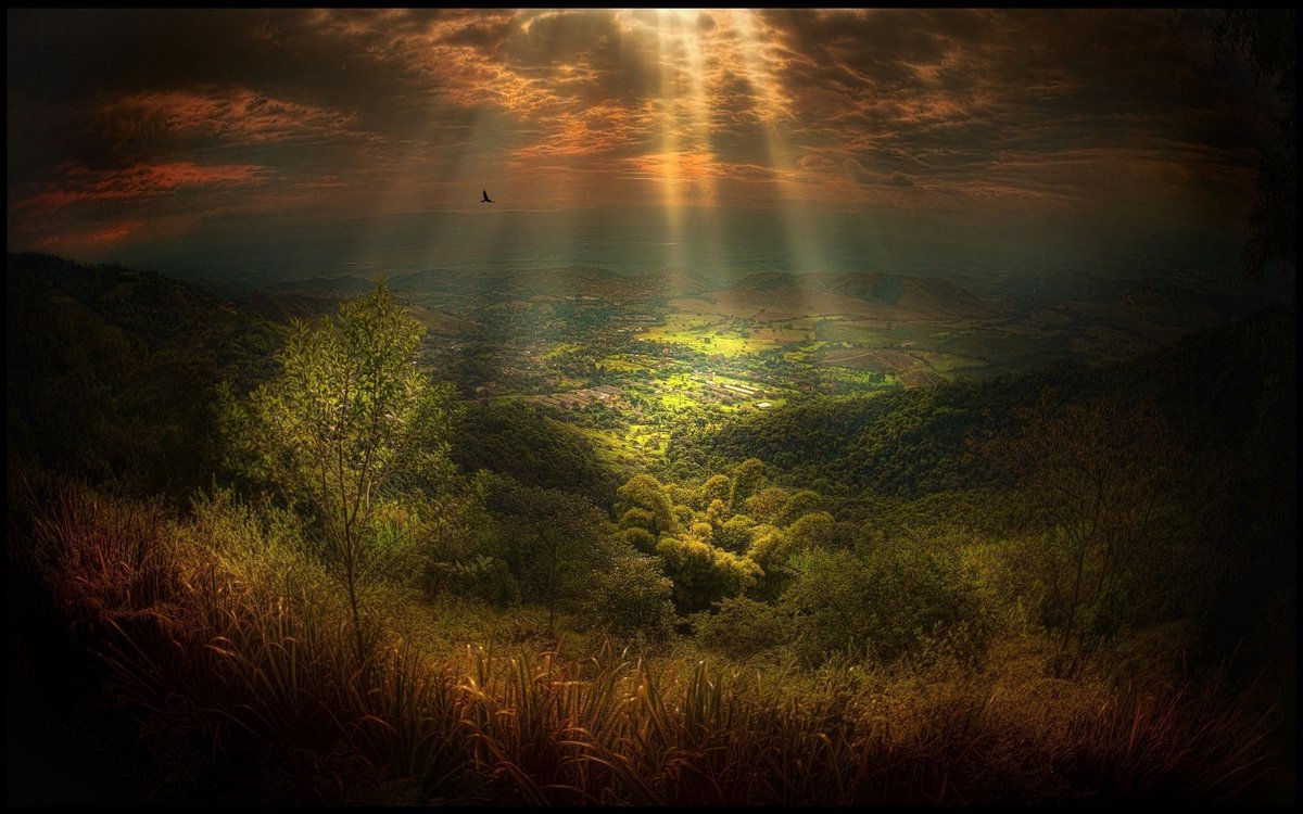 noveliciouss's tweet image. "Nothing can dim the light which shines from within."
Maya #Angelou
#writing #writerslife