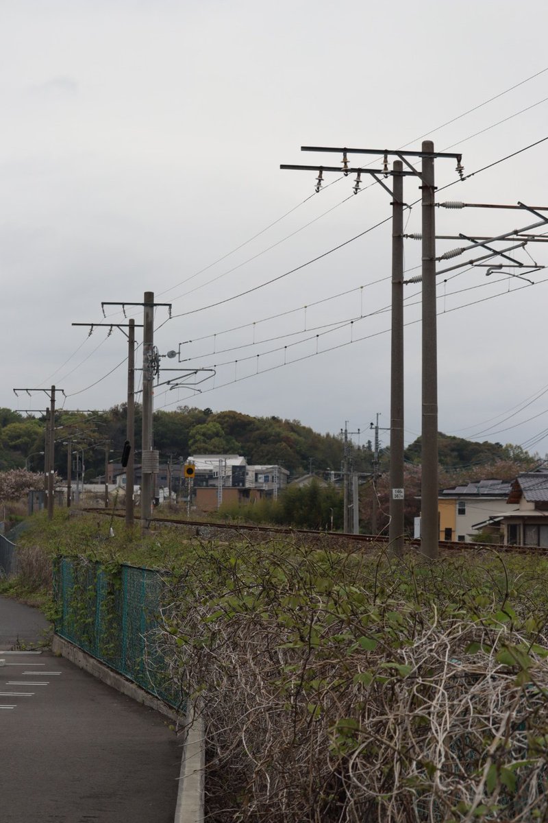 jikko680687's tweet photo. 【今日の787系】2026/4/14(Tue)
5006M特急にちりん6号 宮崎空港7:45発 大分行き(大分11:10着)
787系 BO105編成(分オイ)
#787系 #BO105 #大分車両センター #日豊本線 #大在駅 #坂ノ市駅 https://t.co/s11lbBJNE8
