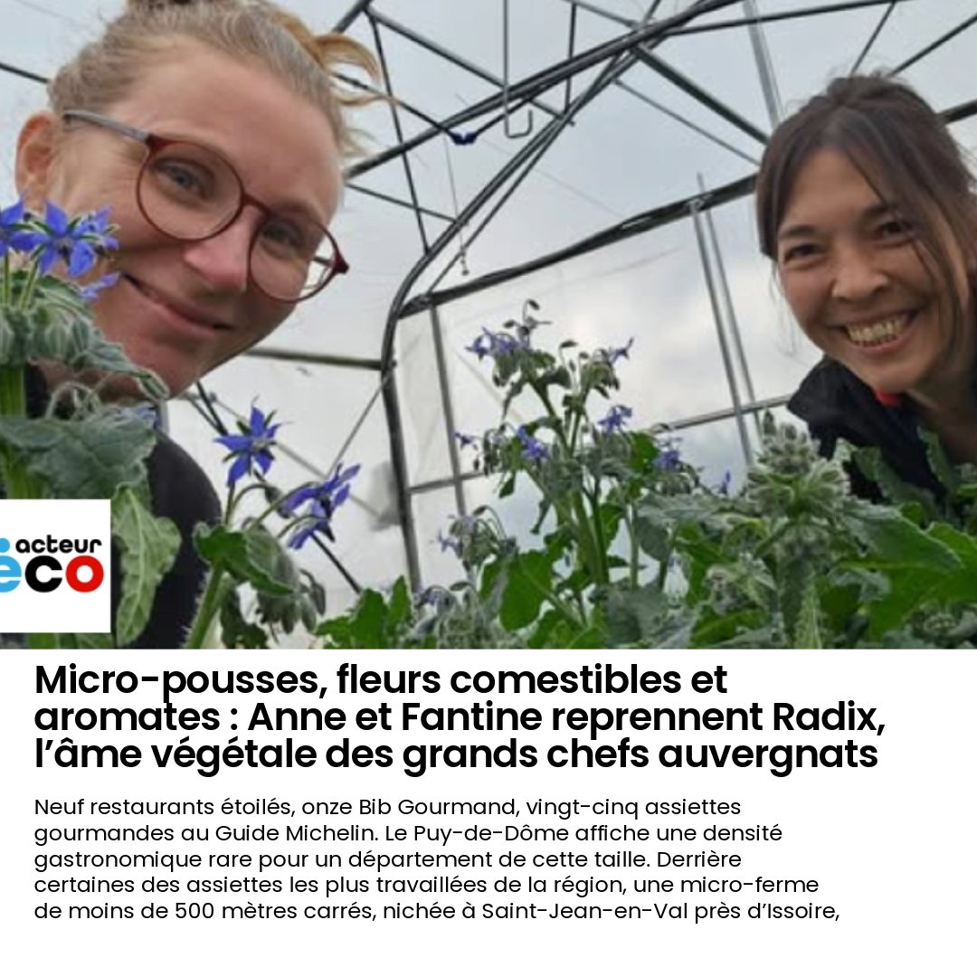Micro-pousses, fleurs comestibles et aromates : Anne et Fantine reprennent Radix, l’âme végétale des grands chefs auvergnats.

Neuf restaurants étoilés, onze Bib Gourmand, vingt-cinq assiettes gourmandes au Guide Michelin. Le Puy-de-Dôme affiche une densité gastronomique rare