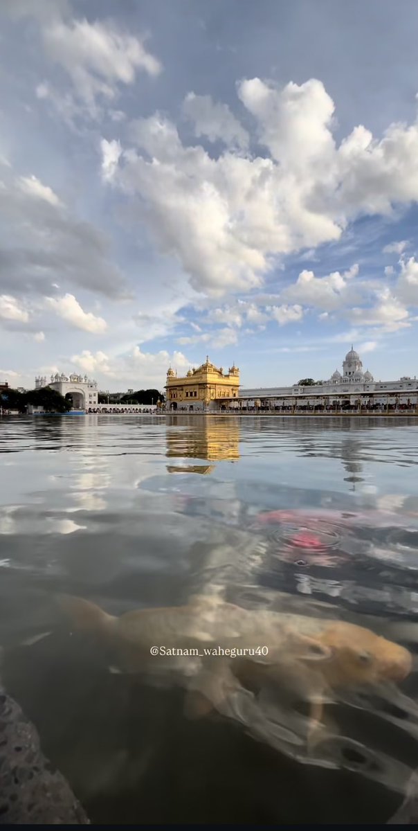 𝘙𝘢𝘤𝘩𝘯𝘢 tweet media