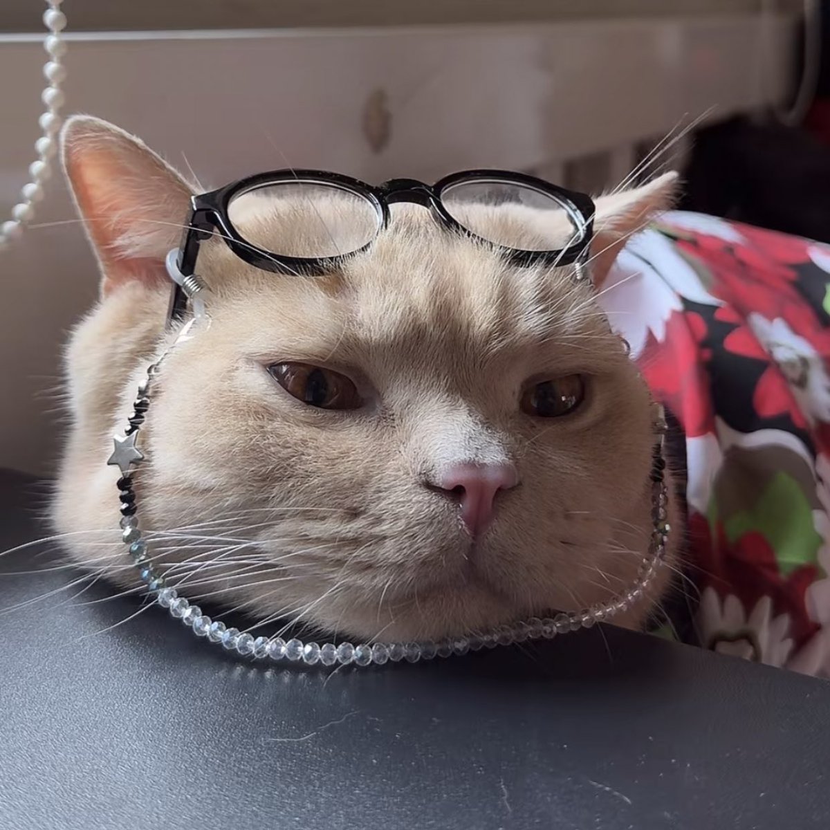 พี่แบเบลอ tweet media