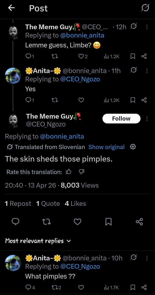 Serial Cheetah tweet media
