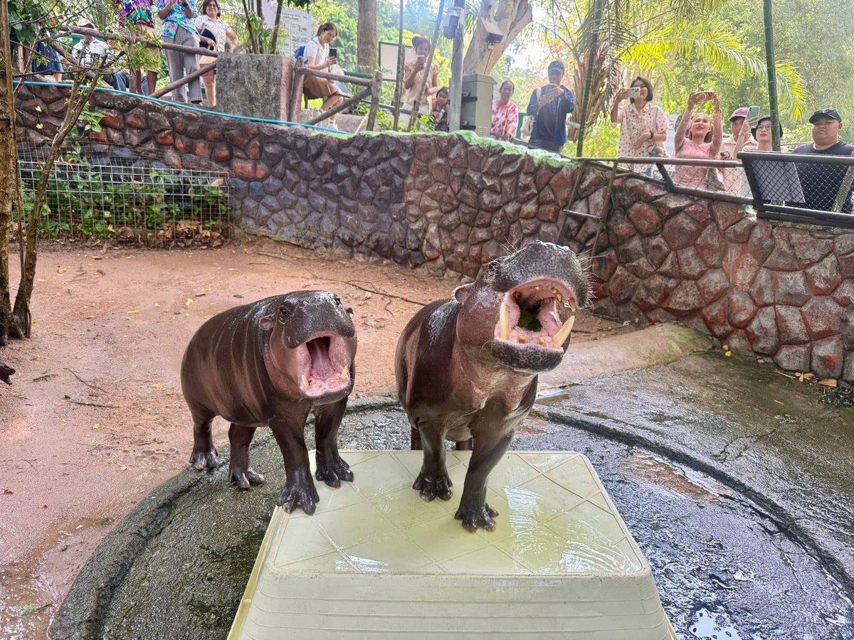 Khamoo.andthegang tweet media