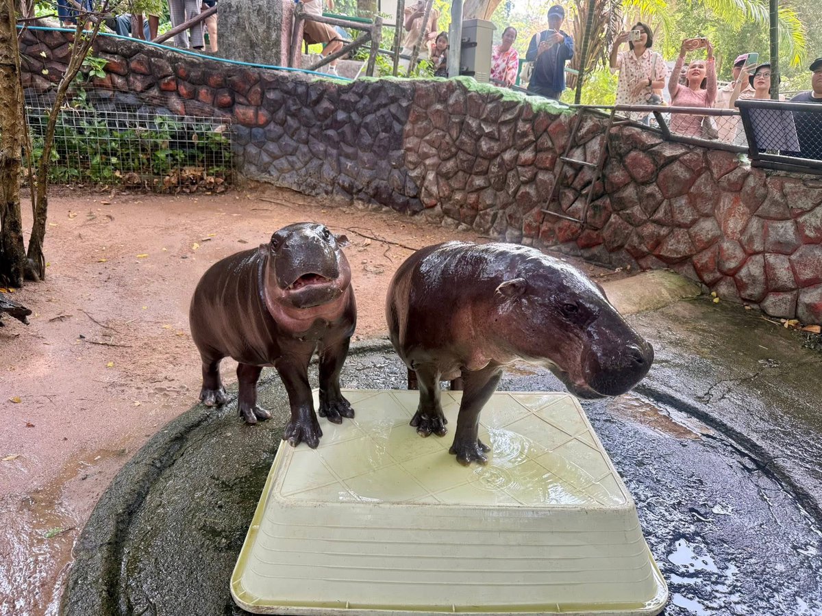 Khamoo.andthegang tweet media