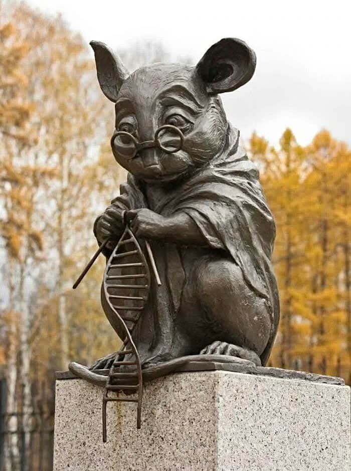 LeoDaVinciWave tweet media