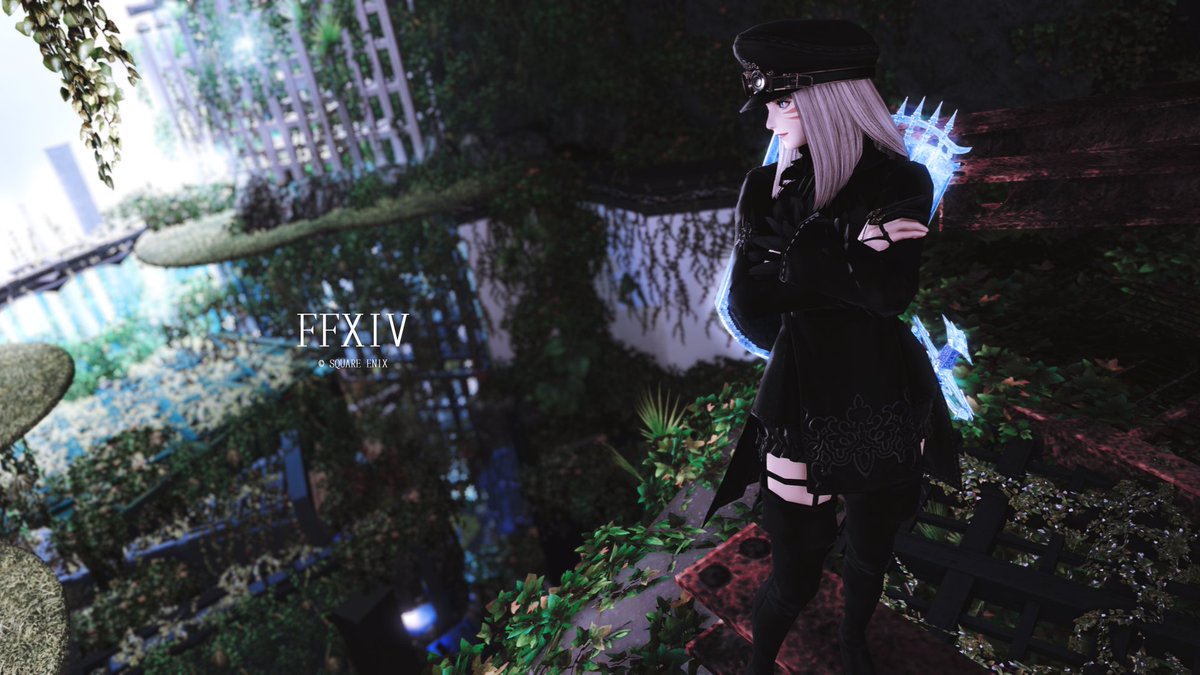 🄴🄽​ tweet media