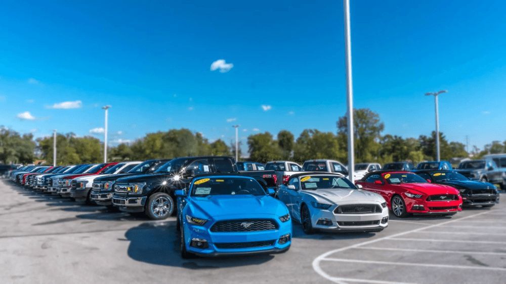 YepText's tweet photo. 🚗 Most dealership relationships do not end with the sale, they are built in the service lane. 🔧

Read the full article here:
https://t.co/SiPIVKkpJb

#AutoDealers #TextMessaging #SMSMarketing #CustomerRetention #DealershipMarketing #AutomotiveMarketing 🚀 https://t.co/F5sHjky8oX