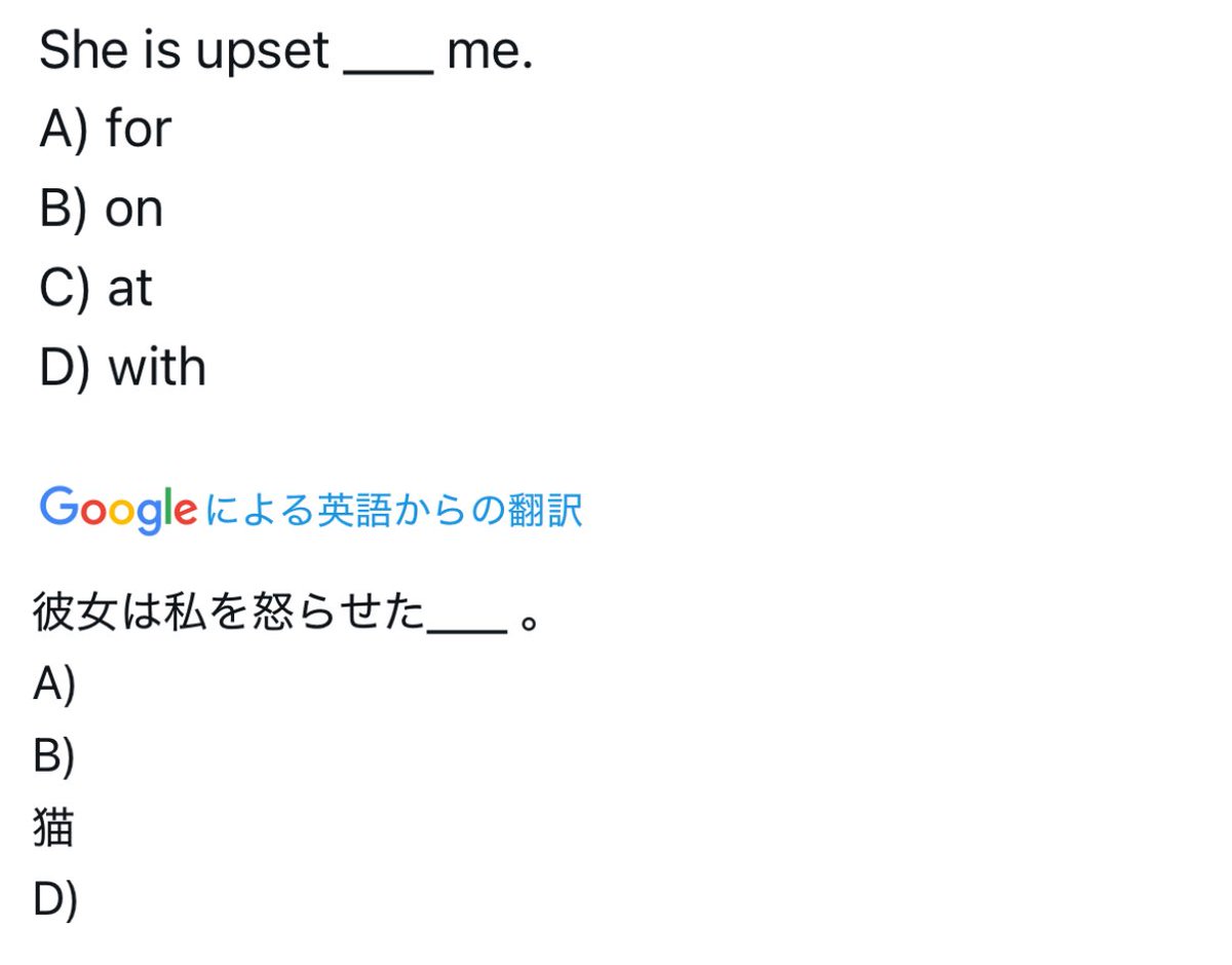 猫