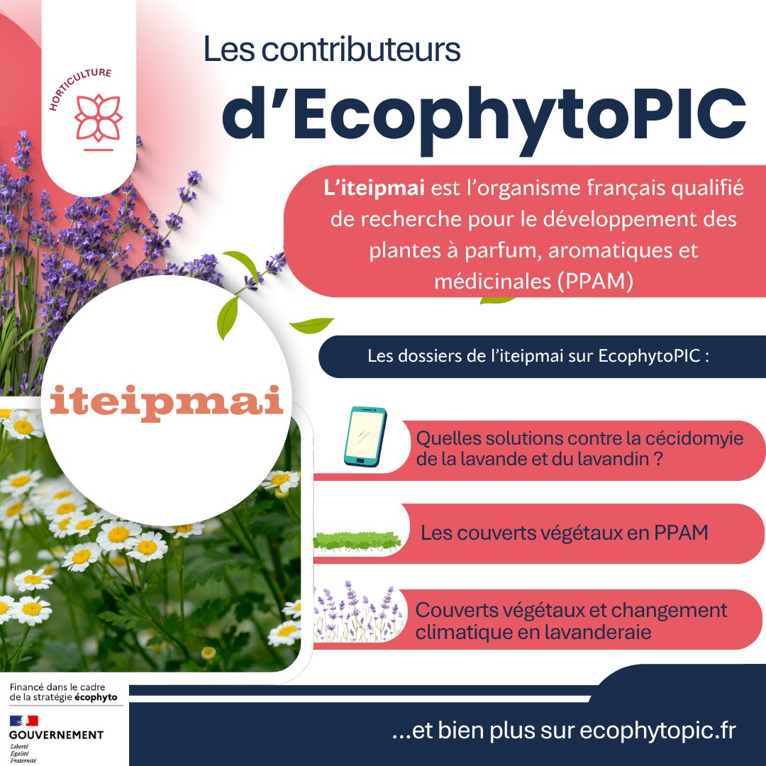 EcophytoPIC tweet media