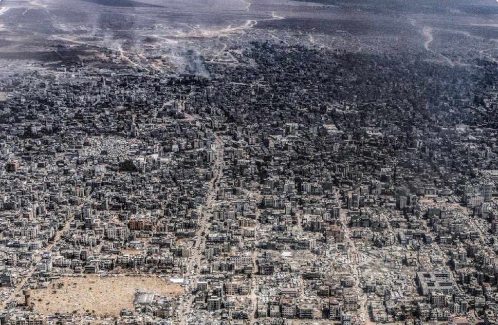 The Protagonist tweet media