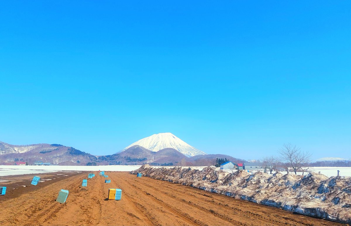 hanahima🍙 tweet media