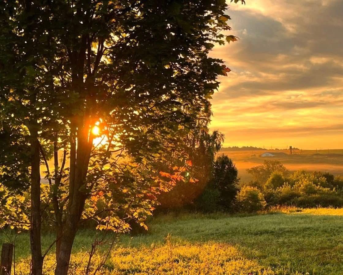 𝓜𝓸𝓸𝓷 tweet media