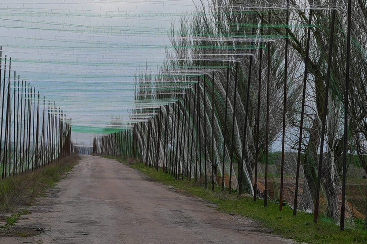 Ukraine Territorial Defense Forces tweet media