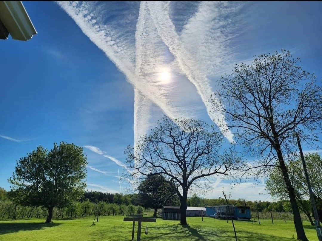 CielClair tweet media