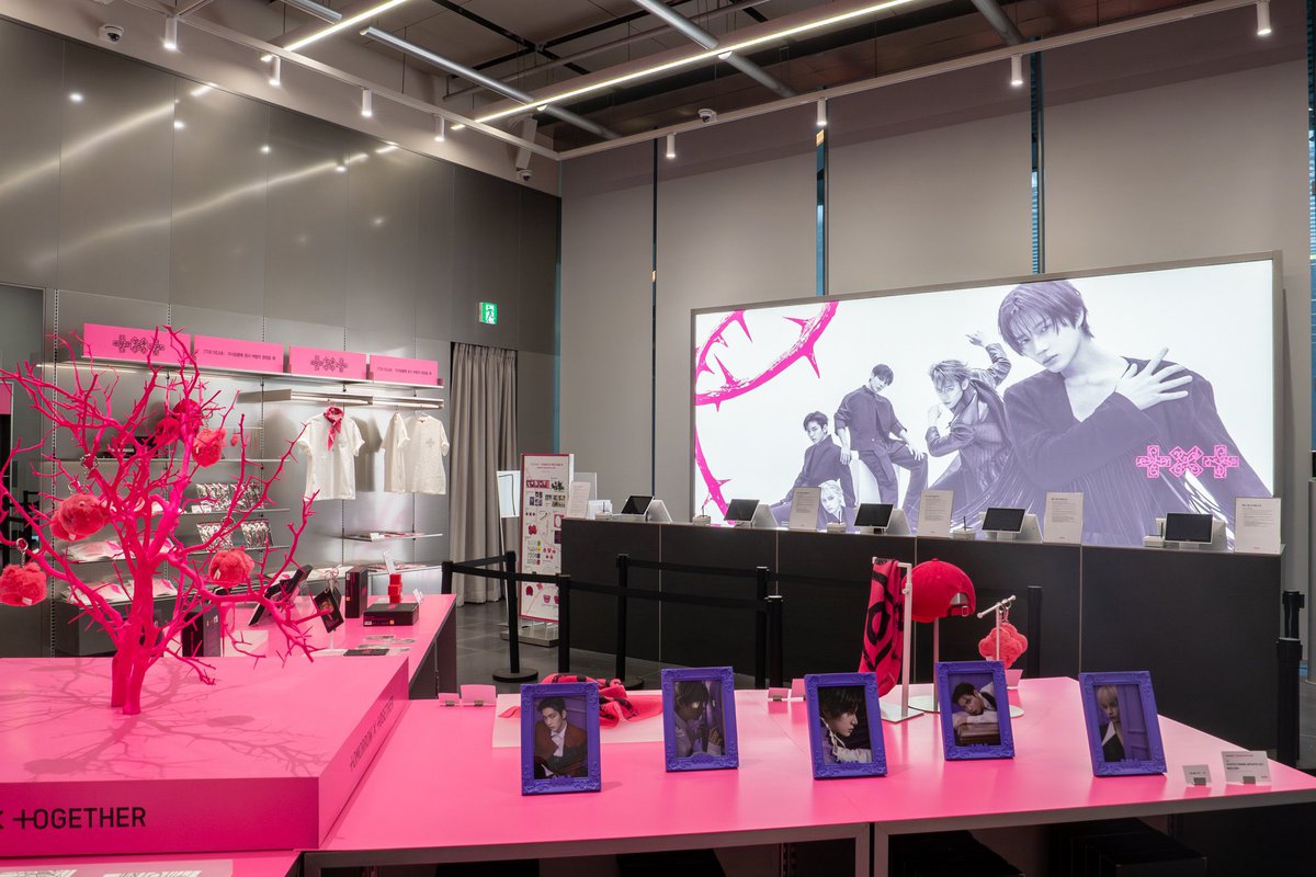 Jolin ᰔ tweet media