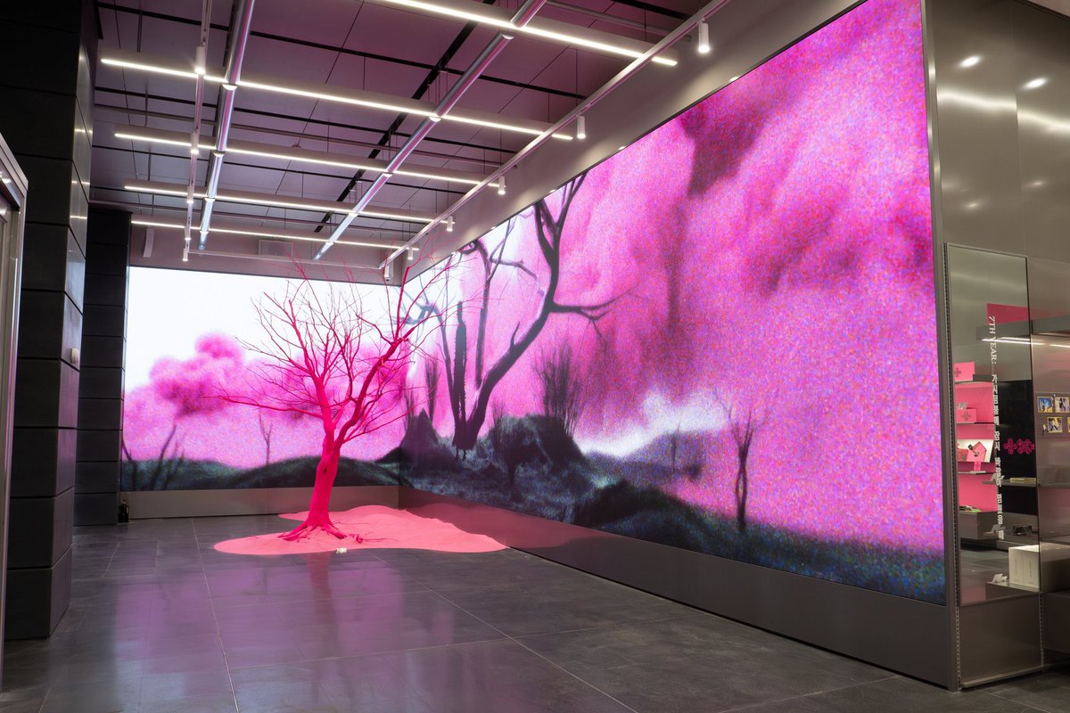 Jolin ᰔ tweet media