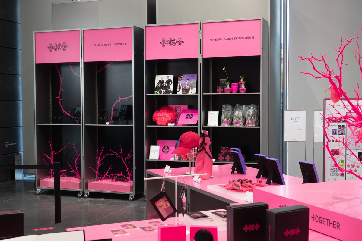 Jolin ᰔ tweet media