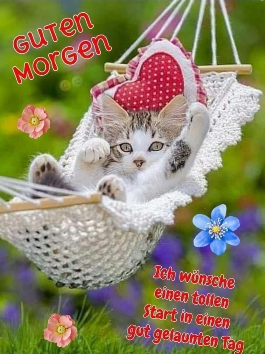 Ina 🙋🏼‍♀️🌻 tweet media
